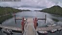 ./images/calvert/dock/20250619/dock20250619_161511M.jpg