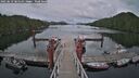 ./images/calvert/dock/20250619/dock20250619_185510M.jpg