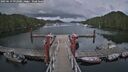 ./images/calvert/dock/20250619/dock20250619_192008M.jpg
