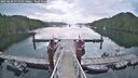 ./images/calvert/dock/20250620/dock20250620_075010M.jpg