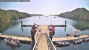 ./images/calvert/dock/20250621/dock20250621_094510M.jpg