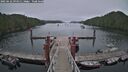 ./images/calvert/dock/20250622/dock20250622_094511M.jpg