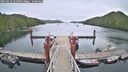 ./images/calvert/dock/20250622/dock20250622_120509M.jpg