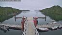 ./images/calvert/dock/20250622/dock20250622_205009M.jpg