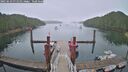 ./images/calvert/dock/20250623/dock20250623_071510M.jpg