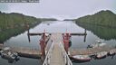./images/calvert/dock/20250623/dock20250623_103011M.jpg
