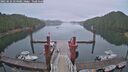 ./images/calvert/dock/20250624/dock20250624_054009M.jpg