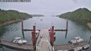 ./images/calvert/dock/20250624/dock20250624_072011M.jpg