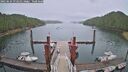 ./images/calvert/dock/20250624/dock20250624_072510M.jpg
