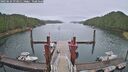 ./images/calvert/dock/20250624/dock20250624_073511M.jpg