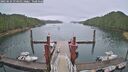 ./images/calvert/dock/20250624/dock20250624_074010M.jpg
