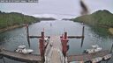 ./images/calvert/dock/20250624/dock20250624_075009M.jpg