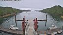 ./images/calvert/dock/20250624/dock20250624_075511M.jpg