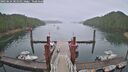 ./images/calvert/dock/20250624/dock20250624_081010M.jpg