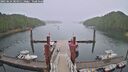 ./images/calvert/dock/20250624/dock20250624_084011M.jpg