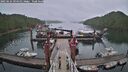 ./images/calvert/dock/20250624/dock20250624_094511M.jpg