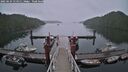 ./images/calvert/dock/20250624/dock20250624_114510M.jpg