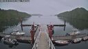 ./images/calvert/dock/20250624/dock20250624_115010M.jpg