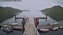 ./images/calvert/dock/20250624/dock20250624_115510M.jpg