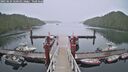 ./images/calvert/dock/20250624/dock20250624_120510M.jpg