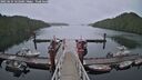 ./images/calvert/dock/20250624/dock20250624_122508M.jpg