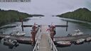 ./images/calvert/dock/20250624/dock20250624_123012M.jpg