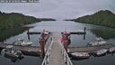 ./images/calvert/dock/20250624/dock20250624_123510M.jpg