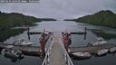 ./images/calvert/dock/20250624/dock20250624_124010M.jpg