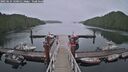 ./images/calvert/dock/20250624/dock20250624_130011M.jpg