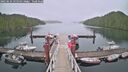 ./images/calvert/dock/20250624/dock20250624_135010M.jpg