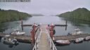 ./images/calvert/dock/20250624/dock20250624_135509M.jpg
