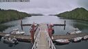 ./images/calvert/dock/20250624/dock20250624_140013M.jpg