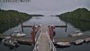 ./images/calvert/dock/20250624/dock20250624_150510M.jpg