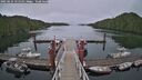 ./images/calvert/dock/20250624/dock20250624_151509M.jpg