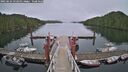 ./images/calvert/dock/20250624/dock20250624_152010M.jpg