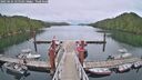 ./images/calvert/dock/20250624/dock20250624_155510M.jpg