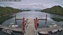./images/calvert/dock/20250624/dock20250624_182511M.jpg