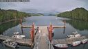 ./images/calvert/dock/20250624/dock20250624_185011M.jpg