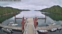 ./images/calvert/dock/20250624/dock20250624_200509M.jpg