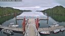 ./images/calvert/dock/20250624/dock20250624_202509M.jpg