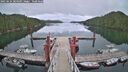 ./images/calvert/dock/20250624/dock20250624_204509M.jpg