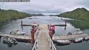 ./images/calvert/dock/20250625/dock20250625_140511M.jpg