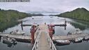 ./images/calvert/dock/20250625/dock20250625_141511M.jpg