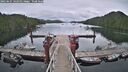 ./images/calvert/dock/20250625/dock20250625_142511M.jpg