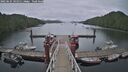 ./images/calvert/dock/20250625/dock20250625_145011M.jpg