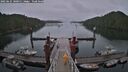 ./images/calvert/dock/20250625/dock20250625_180011M.jpg