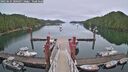 ./images/calvert/dock/20250625/dock20250625_200506M.jpg