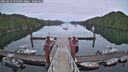 ./images/calvert/dock/20250625/dock20250625_213509M.jpg