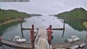 ./images/calvert/dock/20250626/dock20250626_082011M.jpg