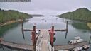 ./images/calvert/dock/20250626/dock20250626_091008M.jpg
